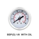 BSP(G) 1-8  With oil