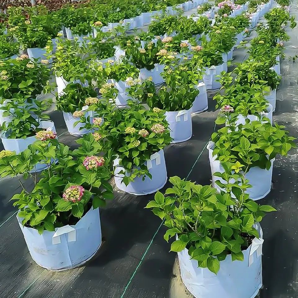 White Plant Grow Bags | Aeration Fabric Pot | Root Control Planters - Thumbnail 7