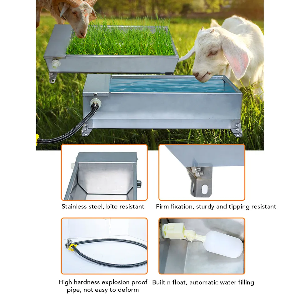 Automatic Water Trough | Stainless Steel, Large Capacity | Poultry & Livestock - Thumbnail 6