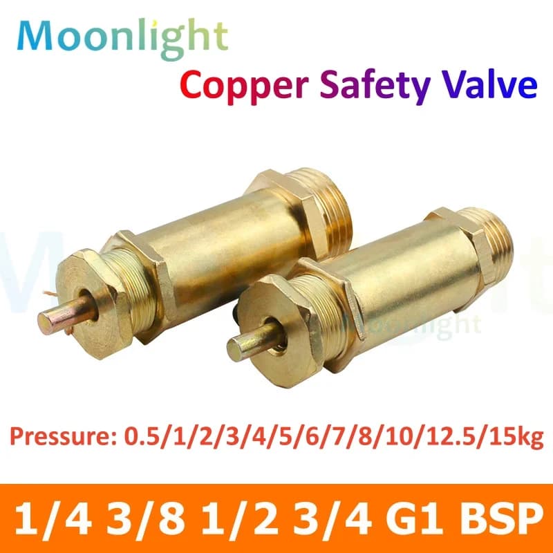 Check Valve | Air Compressor Safety Release | 1/4 NPT Pressure Valve - Thumbnail 2