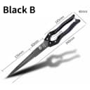 Black B