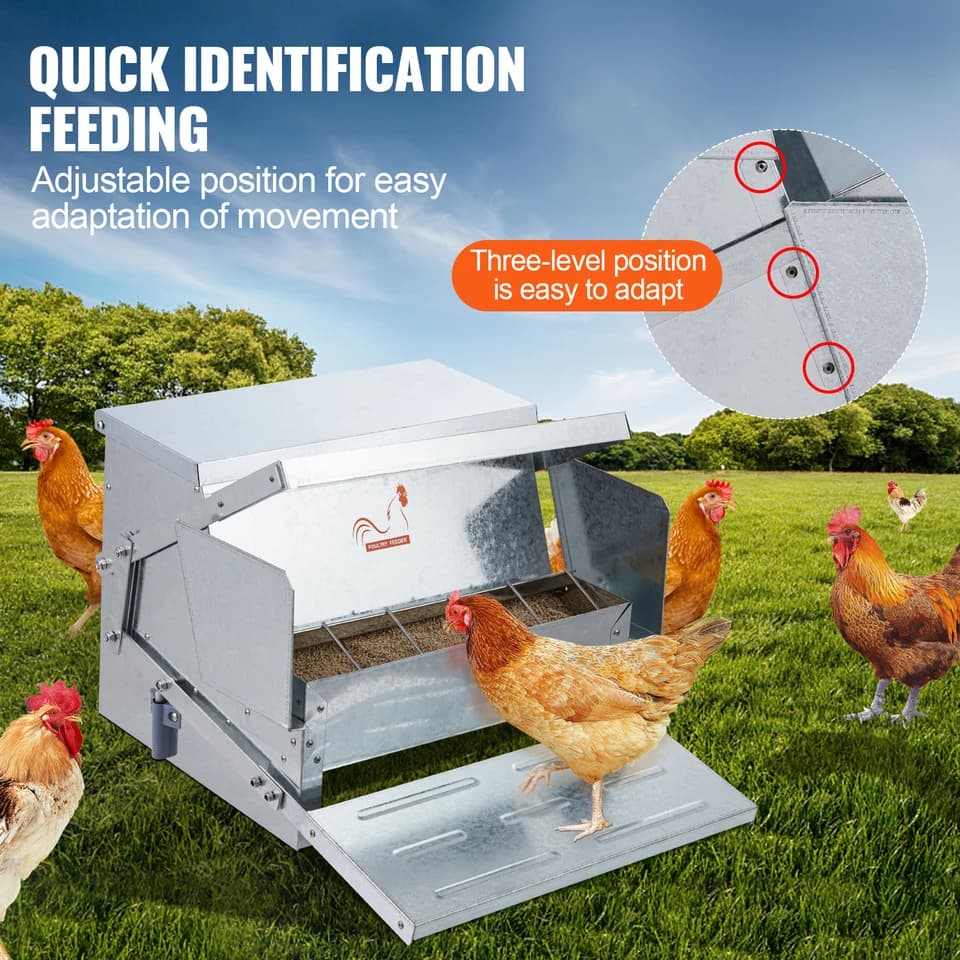 Automatic Poultry Feeder | 25lb Capacity | Galvanised Steel for 10 Chickens - Thumbnail 6