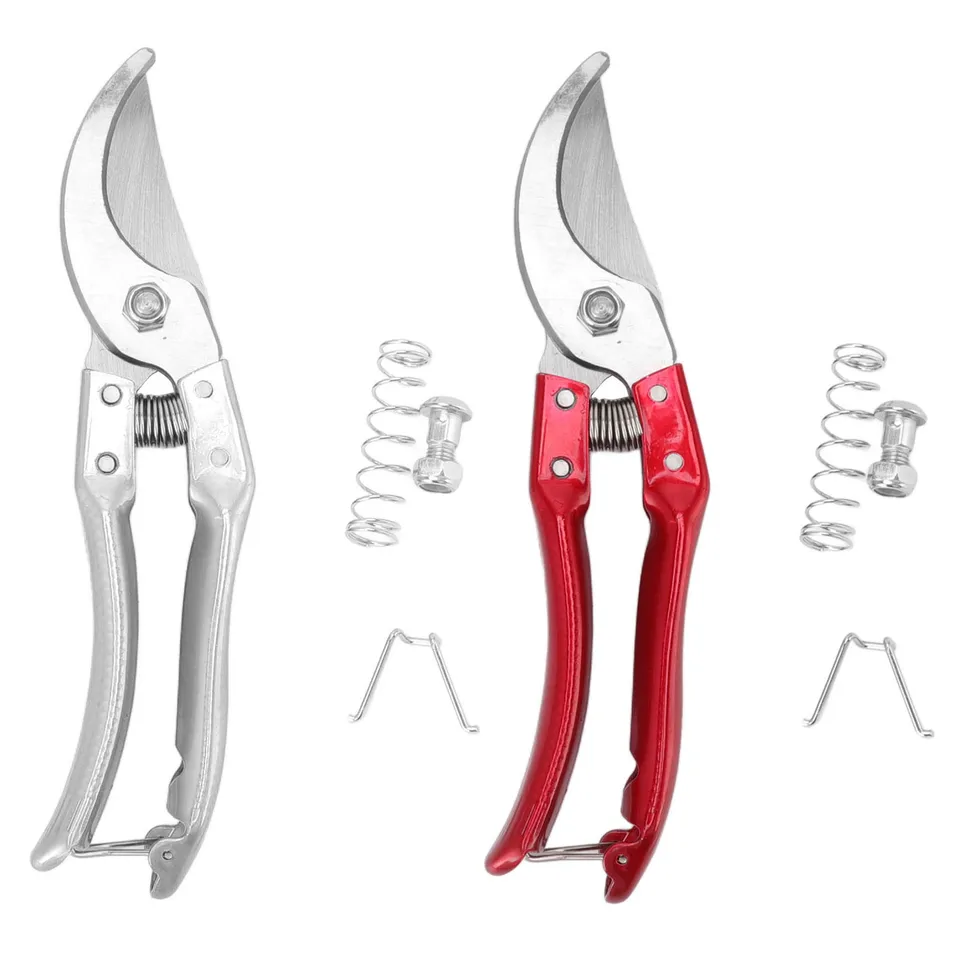 Sheep shears: two variants, silver and red, with spare parts on a white background.