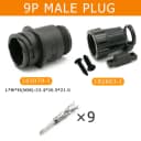 9P Male
