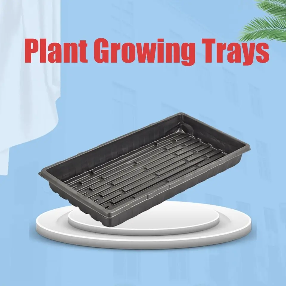 Propagation Trays | 10-Pack Solid Bottom | Heavy-Duty Reusable Plastic - Thumbnail 3