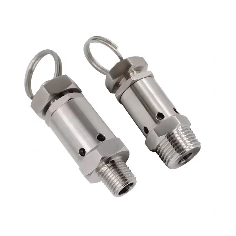 Two identical 2 1/2 gate valves, made of stainless steel, on a white background.