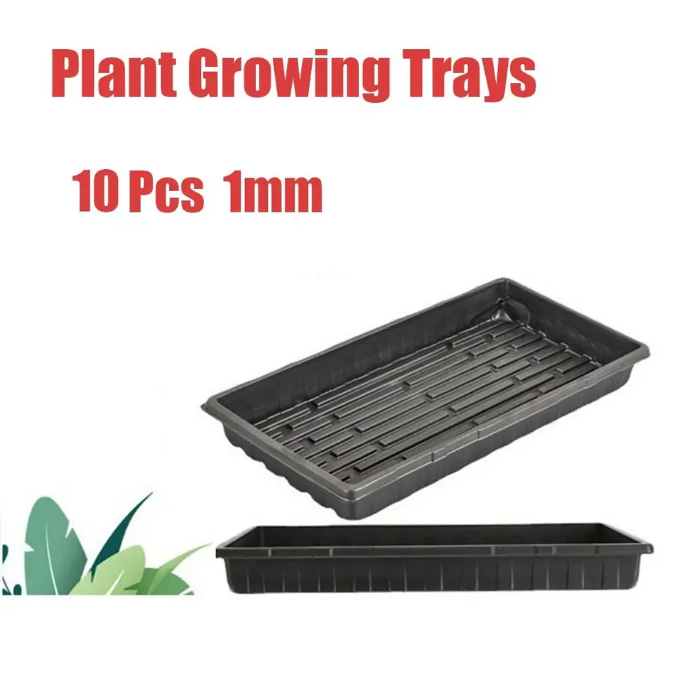 Propagation Trays | 10-Pack Solid Bottom | Heavy-Duty Reusable Plastic - Thumbnail 2