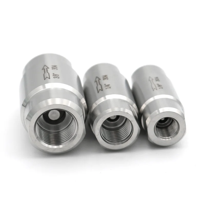 BSP Double Check Valve | High Temp/Pressure SS304 | 1/8" - 3/4" One-Way Non-Return - Thumbnail 4
