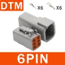 DTM-6P