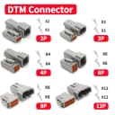 DTM