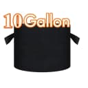 10 Gallon