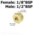 Female 01-Male 04