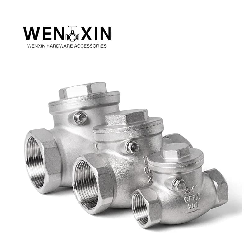BSP Double Check Valve | SS304/316 Swing Check | 1/4" to 2" Industrial Pipe - Thumbnail 3