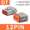 DT-12P