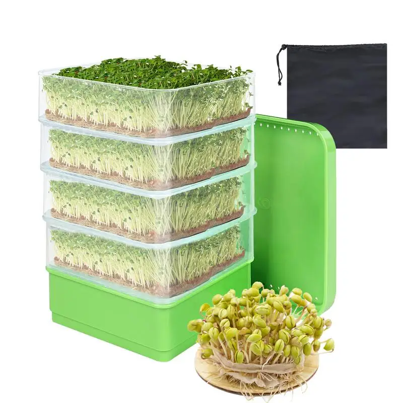 Seed sprouter tray kit with sprouts, lid, bag, and beans on wood.