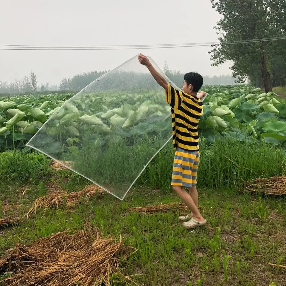 Clear PVC Tarpaulin | Heavy Duty Waterproof Sheeting | Garden & Balcony Protection - Thumbnail 6