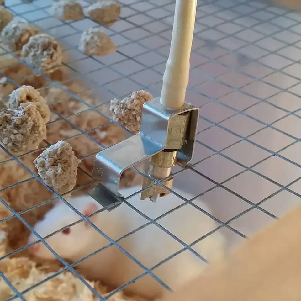 Automatic Poultry Feeder Nipple Drinker | Rat & Chinchilla Waterer | Animal Feeder Fittings - Thumbnail 6