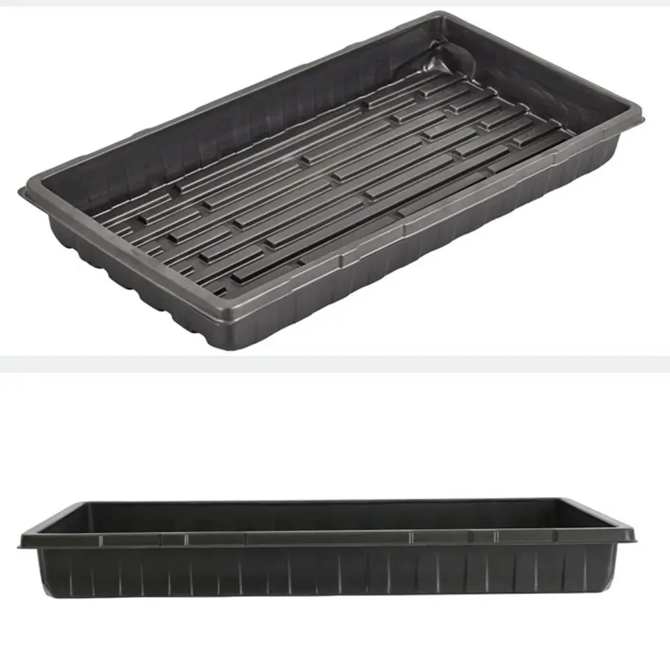 Propagation Trays | 10-Pack Solid Bottom | Heavy-Duty Reusable Plastic - Thumbnail 7