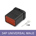 34P Male