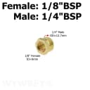 Female 01-Male 02