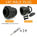 14P Male