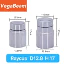 Raycus D12.8H17