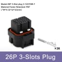 26P Female 3c