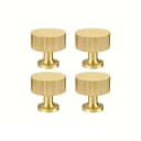 4Pcs Golden
