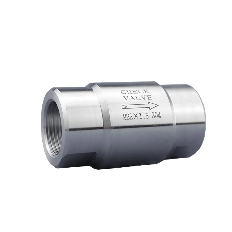 Stainless Steel Double Check Valve | 80 Bar Steam | High Temp One-Way - Thumbnail 4
