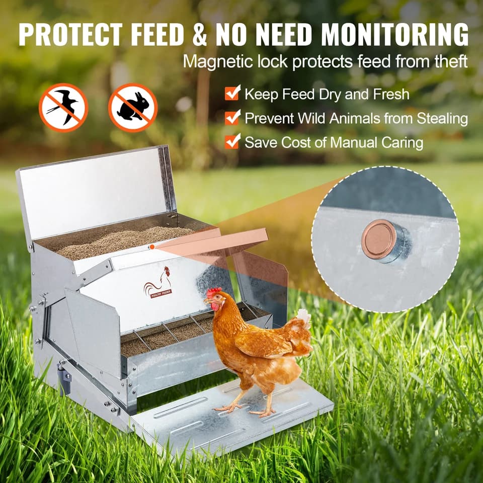 Automatic Poultry Feeder | 25lb Capacity | Galvanised Steel for 10 Chickens - Thumbnail 4