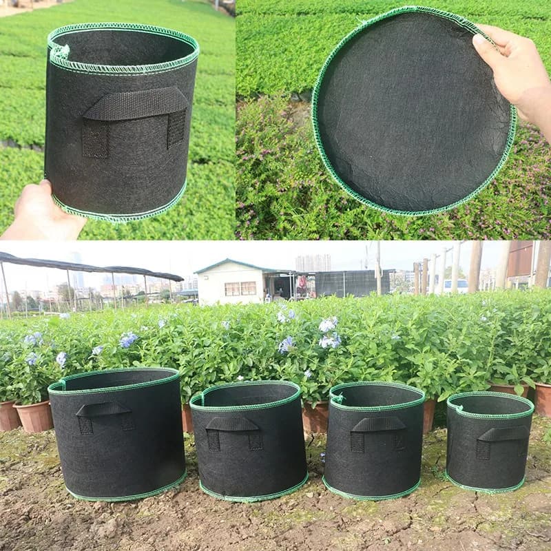 Plant Grow Bags | Thickened Non-Woven Aeration Fabric | With Handles, 2-10 Gallon - Thumbnail 7