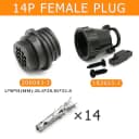 14P Female