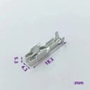 BX2024-2