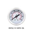BSP(G) 1-4  With oil