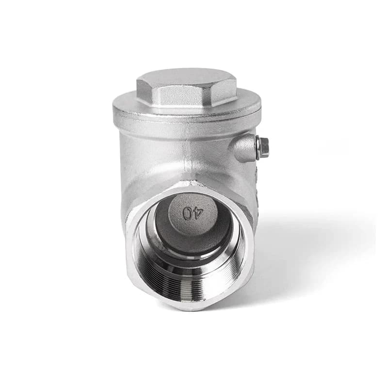 BSP Double Check Valve | SS304/316 Swing Check | 1/4" to 2" Industrial Pipe - Thumbnail 2