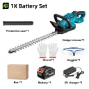 1 Battery