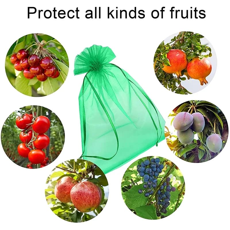 Grow Bags | Anti-Bird Fruit Mesh Netting | For Grapes & Garden - Thumbnail 2
