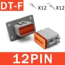 DT Flange-12P