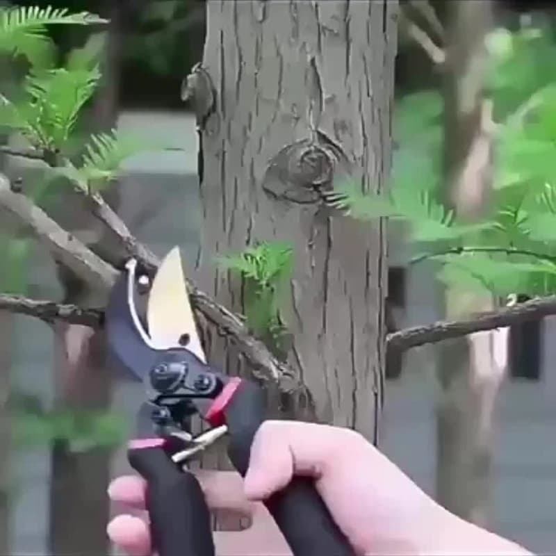 Toughbuilt Secateurs | Heavy Duty Garden Pruner | Fruit Picker Shears - Thumbnail 6