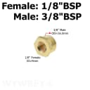 Female 01-Male 03