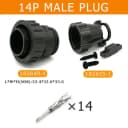 14P Male
