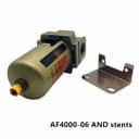AF4000-06 ADD Stents