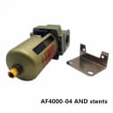 AF4000-04 ADD Stents
