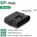 6P Male