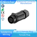 6 Pin Female Plug