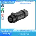 7 Pin Female Plug