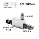 CV-10 w 12 Fitting