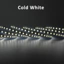 Cool White
