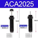 ACA2025