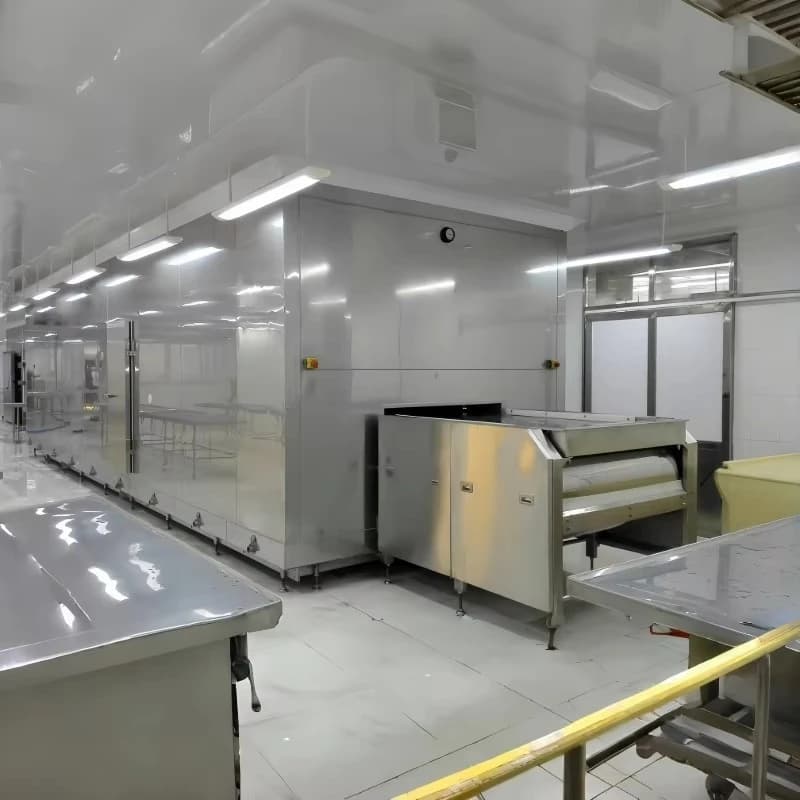 Commercial-Grade IQF Tunnel Freezer | Rapid Flash Freezing for Food Preservation | Industrial Blast Freezer - Thumbnail 7
